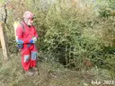 Cova del Cabanil - Miniatura 1, Josa i Tuixén