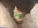 Cova Oest del Montcau - Miniatura 2, Mura