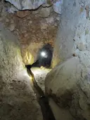 Cova de la Font Nova - Miniatura 3, Alfara de Carles