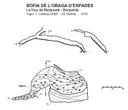 Bòfia de l'Obaga d'espades - Miniatura 3, Nou de Berguedà, La