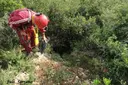 Avenc del Camí de les Senioles - Miniatura 2, Ulldecona