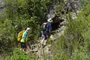 Cova dels Tres Alls - Miniatura 1, Molar, El