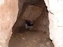 Esquerda del Torrent de Sant Miquel - Miniatura 4, Gelida