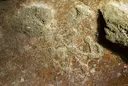 Cova dels Encantats - Miniatura 6, Ogassa