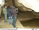 Cova del Toll - Miniatura 20, Moià