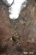 Avencó de Coll Verdeguer - Miniatura 2, Cervelló