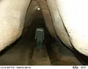 Cova del Toll - Miniatura 21, Moià