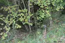 Forat de la Ratafia - Miniatur 1, Susqueda