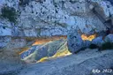 Avenc de la Foradada - 缩略图 4, Freginals