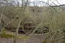 Balma d'Escrigues - Thumbnail 1, Santa Maria de Merlès