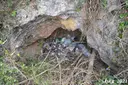 Avencó del Lledoner - Thumbnail 2, Cervelló