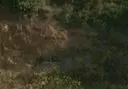Cova del Parador - Miniatura 2, Malgrat de Mar