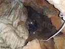 Avenc del Ginebró - Miniatura 7, Begues