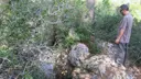 Avenc Montesinos - Miniatura 3, Olesa de Bonesvalls