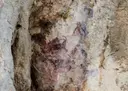 Cova de Cabrafeixet - Miniatura 3, Perelló, El