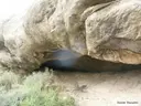 Cova de Puiganseric - Thumbnail 2, Vilanova de l'Aguda