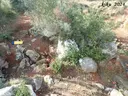 Avenc de les Alzines - Miniatura 8, Begues