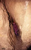 Graller de les Vaqueres - Thumbnail 3, Sant Esteve de la Sarga