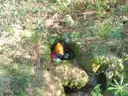 Forat Bufador - Miniatura 4, Tordera