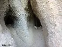 Cova de la Columna - Miniatura 2, Gallifa