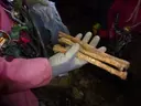 Avenc del Puig Escampador - Miniatura 7, Olesa de Bonesvalls