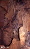 Cova Negra de Corçà - Thumbnail 8, Àger