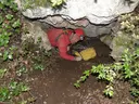 Cova Patxarro - Miniatura 6, Avellanes i Santa Linya, Les