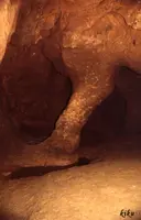 Cova del Toll - Miniatura 11, Moià