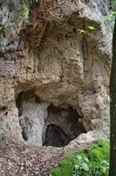 Cova de l'Avellaner - Thumbnail 1, Planes d'Hostoles, Les
