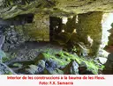 Balma de les Fleus - Miniatura 3, Ripoll