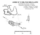 Avenc Nº11 del Pas dels Llops - Miniatura 1, Sant Martí de Llémena