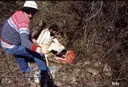 Cova de la Carrera - Thumbnail 6, Vall d'en Bas, La