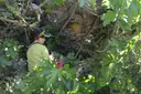 Baborell de la Dona Morta - Miniatura 2, Alòs de Balaguer