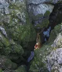 Graller del Portús - Thumbnail 14, Pont de Suert, El