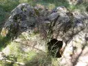 Avenc Antistiana - Thumbnail 3, Montmell, El