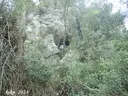 Cova de les Desgràcies - Miniatura 1, Tivissa