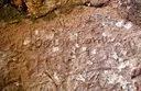 Cova de la Reina - Miniatur 6, Torroella de Montgrí