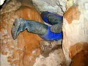 Cova de l'àngel - Miniatura 3, Sant Llorenç Savall