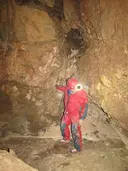 Cova Uf-2 - Miniatura 8, Sénia, La