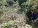 Forats del Terratrèmol - Miniatura 6, Castellbell i el Vilar