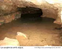 Cova dels Ullals de la Carrova - Miniatura 6, Amposta