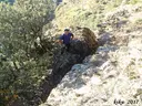 Forat de les Encantades - Miniatura 2, Sort