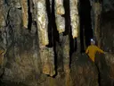 Cova dels Muricecs - Miniatura 12, Llimiana