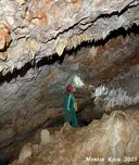 Bòfia de l'Obaga d'espades - Miniatura 10, Nou de Berguedà, La
