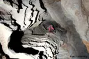 Avenc de la Discòrdia - Miniatura 8, Begues