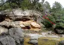 Cova del Molinot - Miniatura 1, Odèn