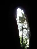 Cova de la Ceràmica - Miniatura 3, Mura