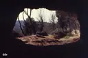 Cova del Toll - Miniatura 5, Moià