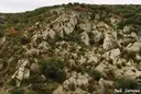 Graller Nº4 de la Pardina - Thumbnail 1, Àger