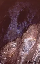 Grallera de Picon Bernat - Miniatura 4, Sant Esteve de la Sarga
